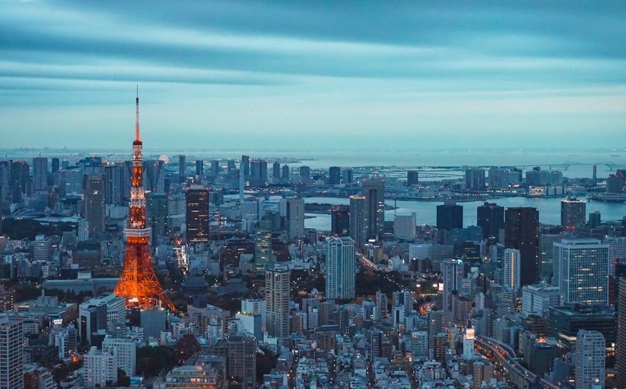 The Tokyo skyline